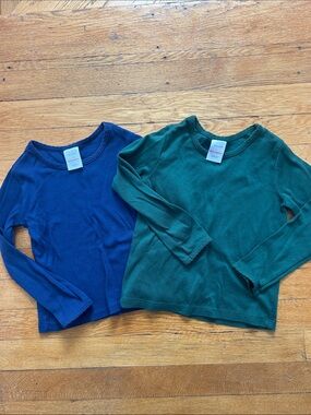 Bundle of two Hanna Andersson pima cotton tees